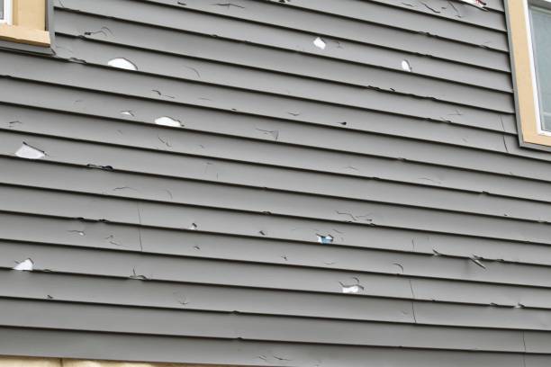 Reliable Boscobel, WI Siding Solutions